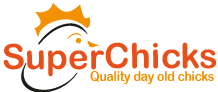 supachicks